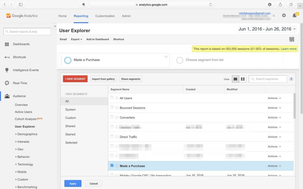 Google Analytics Segmentation Report